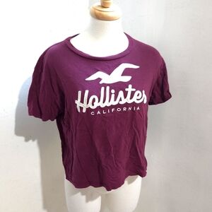 Hollister | Maroon Crew Neck Tee